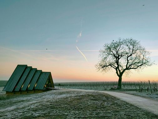 Kapelle in den Weinbergen