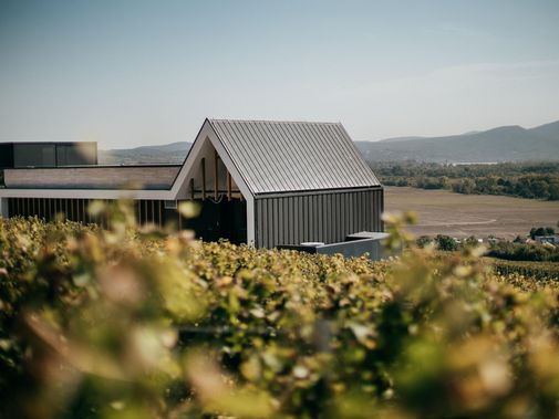 Weingut Világi